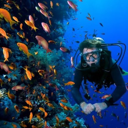 Diving in Samaná