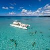 Saona