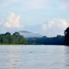 Tag 2 Nationalpark Tortuguero