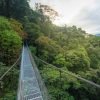 Tag 5 Arenal Hängebrücke