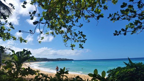 Dominican Republic Travel - Excursiones and Trips