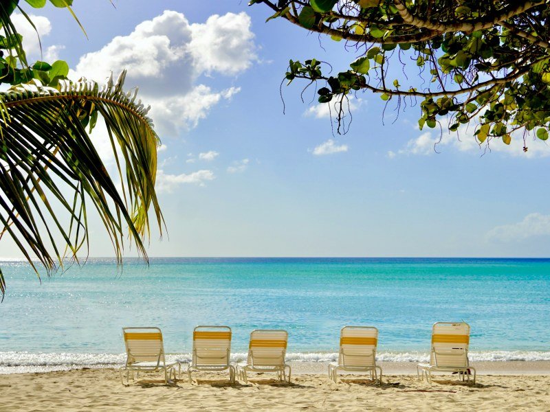 DomRep