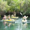 Kayakfahrt Am Fluss Rio Sabaneta De Yasica
