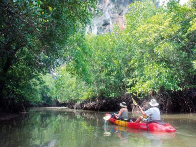 Kayakfahrt Durch Die Mangroven Im Nationalpark Los Haitises