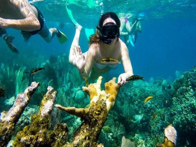 Schnorcheln Auf Der Isla Paraíso, Einem Der Schönsten Korallenriffe Der  Karibik