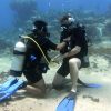 Diving In Samaná