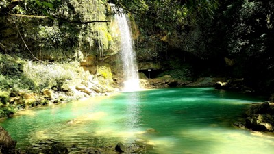 Jungle Dominican Republic