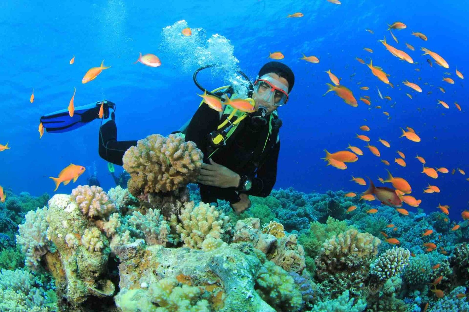 Dominikanische Republik Reisen 2025 - Urlaub in der Karibik buchen