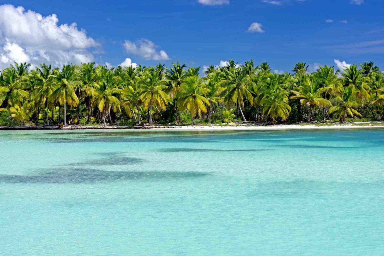 Dominikanische Republik Reisen 2025 - Urlaub in der Karibik buchen